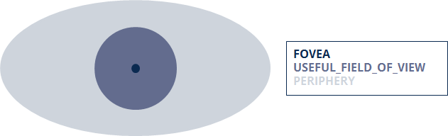 Illustration of the different parts of the human's field of view