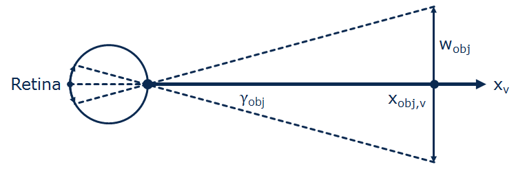 Retinal projection of an environmental object obj of width w_obj along the visual axis x_v