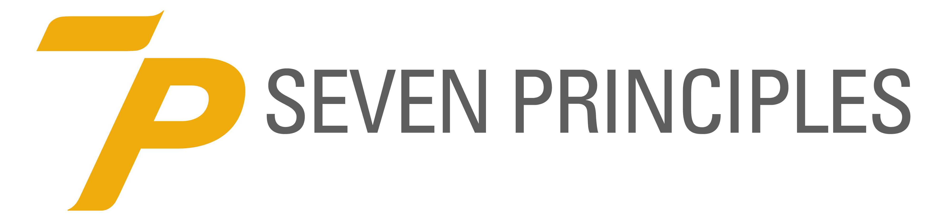 Seven Principles Mobility
