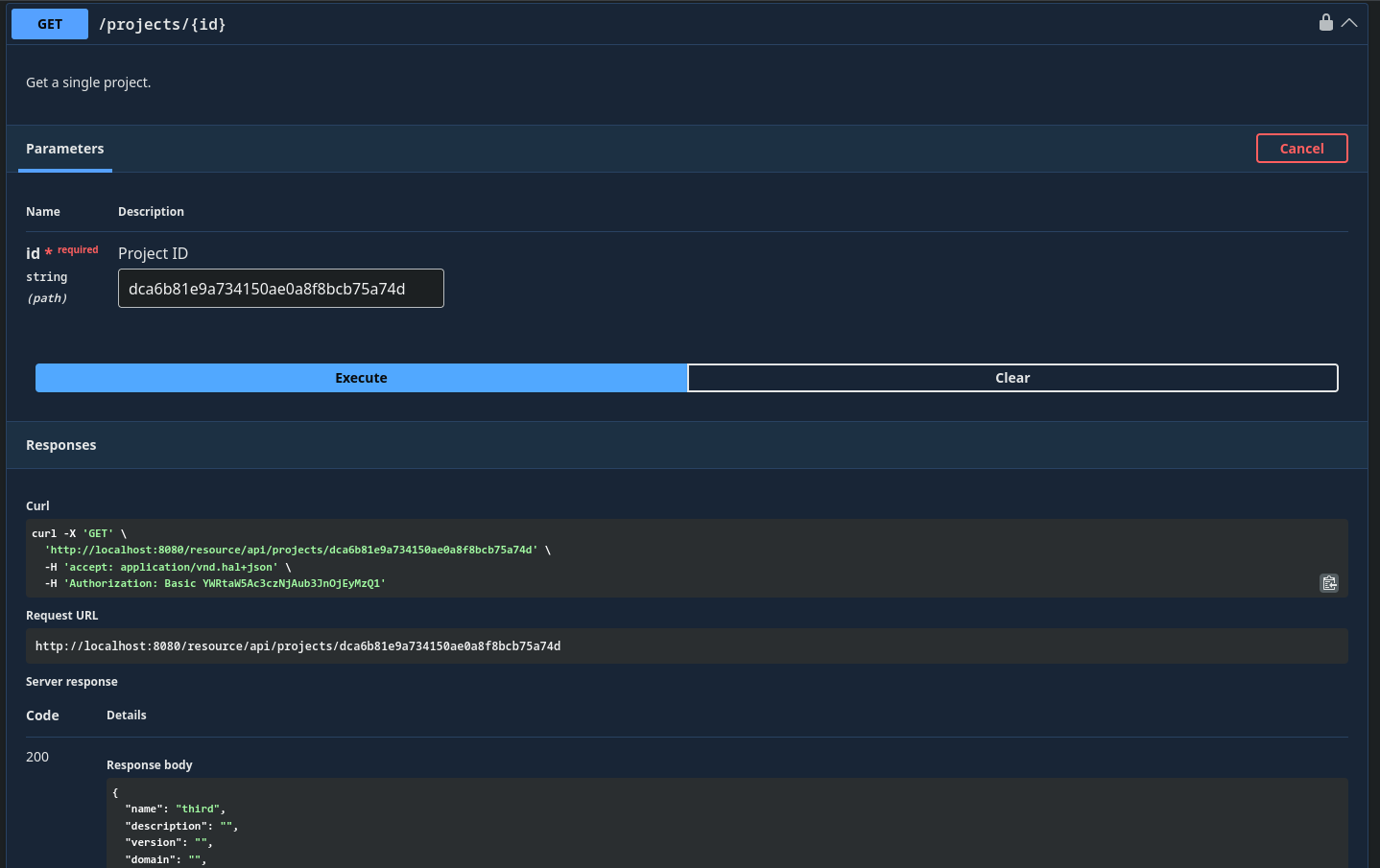 Swagger UI Get Project