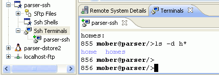 Terminals Subsystem