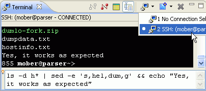 New Terminal Features