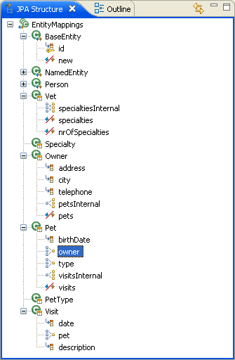 XML Descriptor 