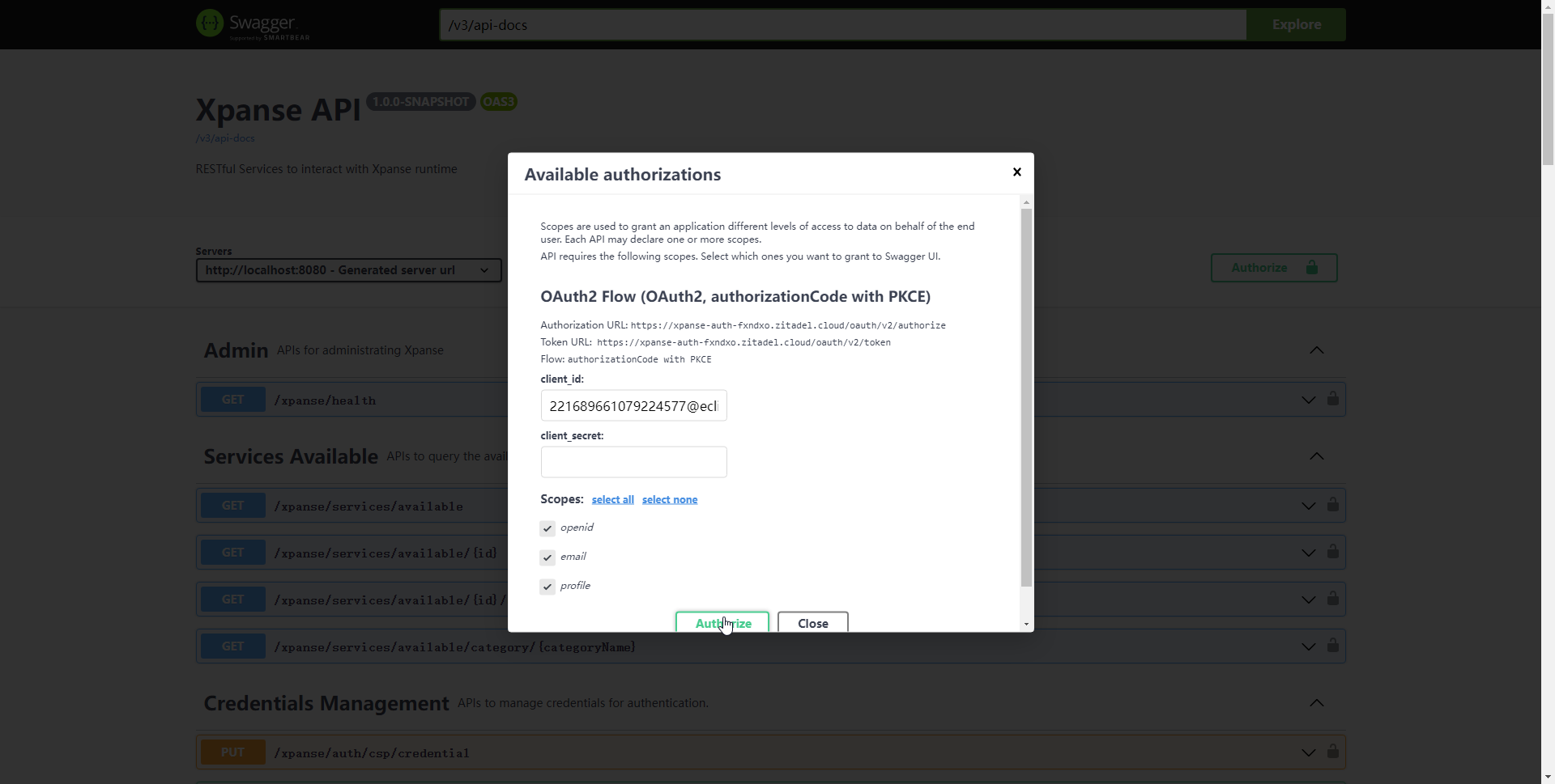 Authorize in the authentication window